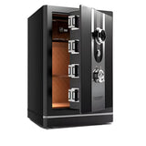 BlackTitan Sentinel Pro Vault