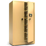 Sandstone Guardian MaxiVault